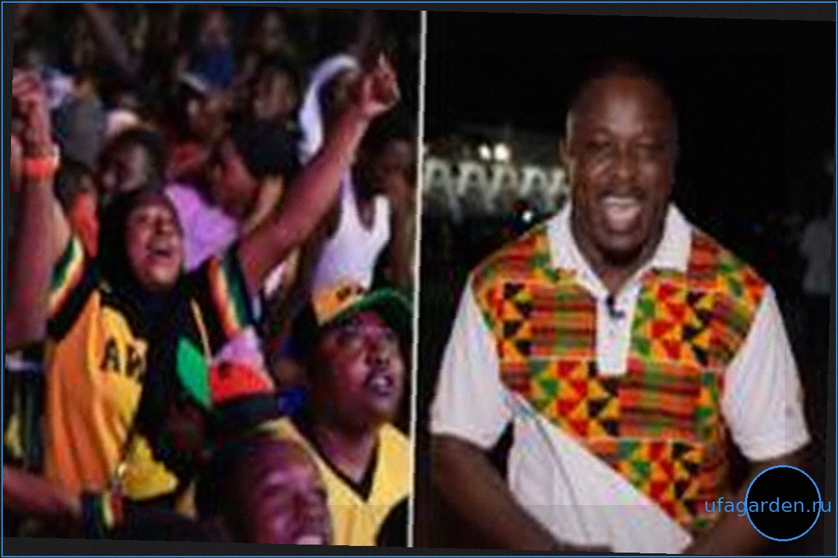 Watch: Football fans celebrate in Ghana after draw with England