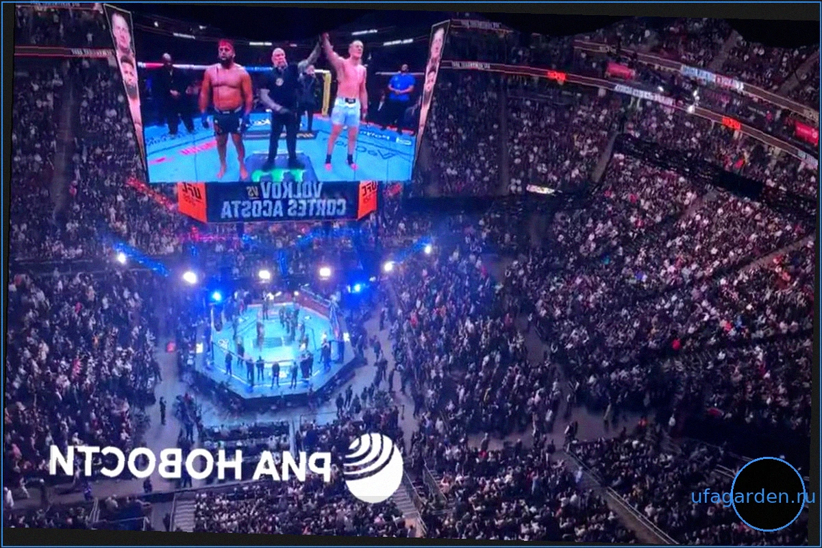 Российский боец UFC Александр Волков эффектно вышел на бой в США под «Катюшу»
