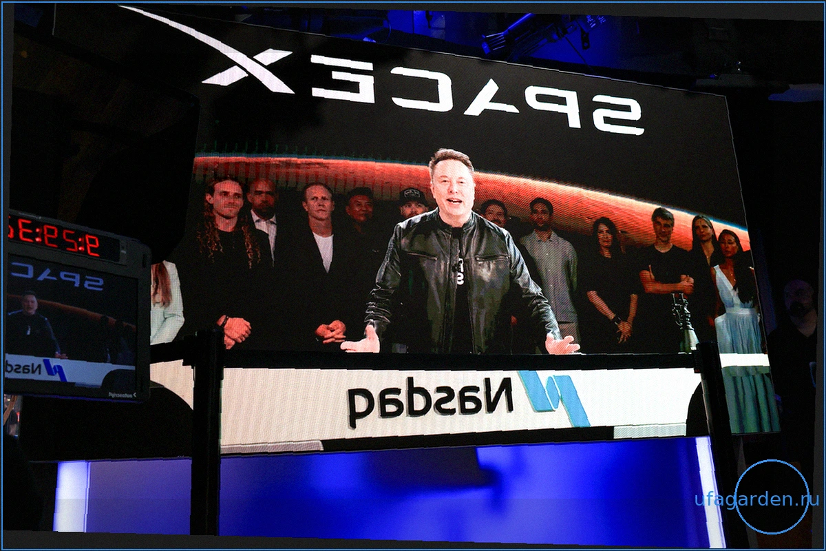 Не успели на IPO SpaceX? Возможно, вы уже являетесь инвестором.