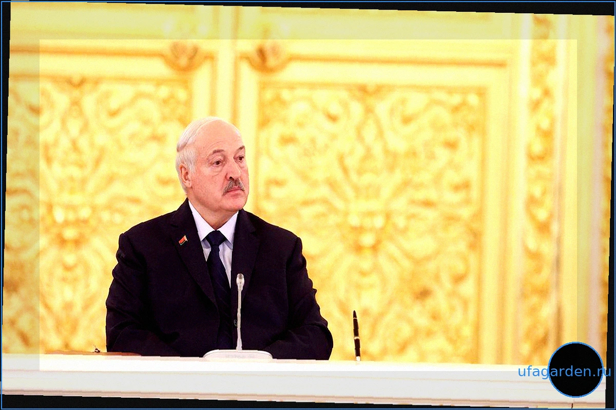 Лукашенко о позиции "евротройки" по России: завышенные условия для маневра