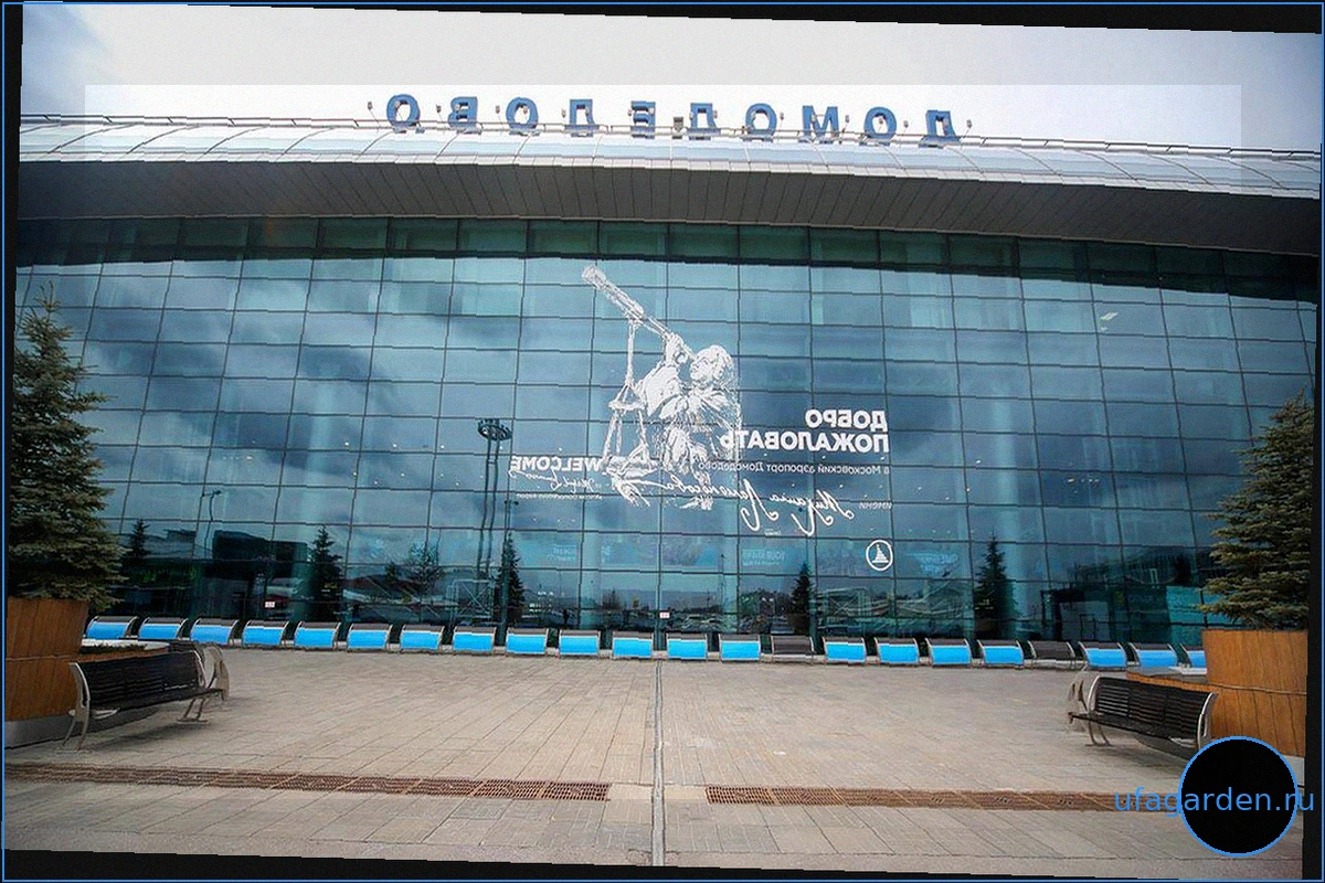 Росавиация ввела временные ограничения на полеты в аэропортах Москвы