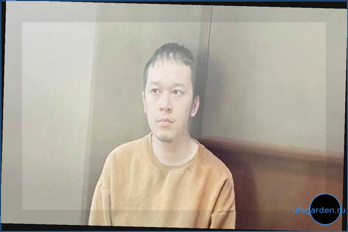 Суд заключил под стражу обвиняемого в нападении с ножом на ребенка в Подмосковье