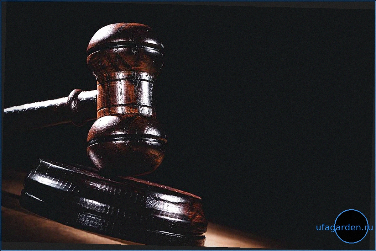 Суд приговорил к принудительным работам водителя за смерть пассажира в Клину