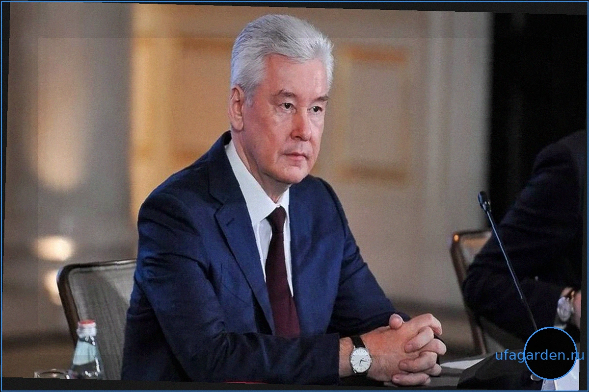 Сергей Собянин: ИИ-сервисы помогают повысить качество приемов в поликлиниках