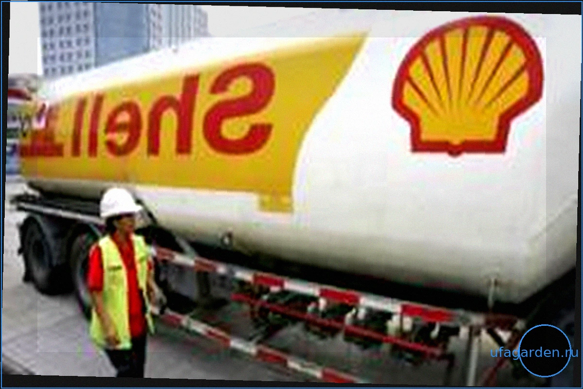Прибыль Shell резко выросла на фоне роста цен на нефть из-за конфликта вокруг Ирана