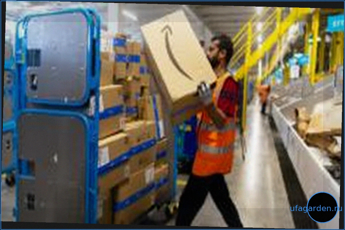 Почему у Amazon нет западных конкурентов?