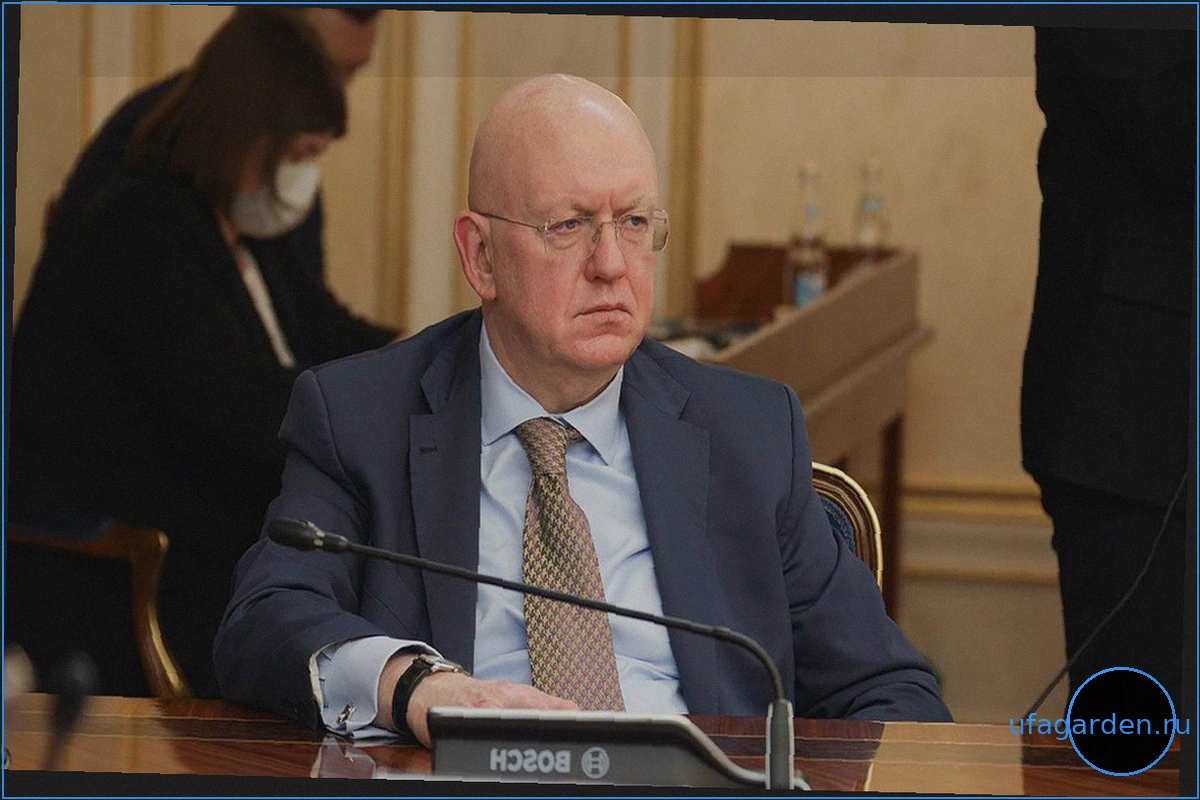 Небензя ответил украинскому постпреду в ООН поговоркой «на воре и шапка горит»