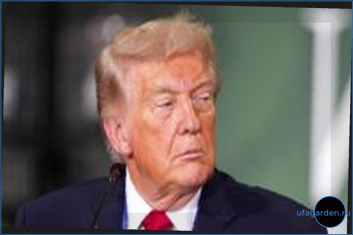 Трамп досрочно завершил интервью NBC из-за спора о 'сфальсифицированных выборах'
