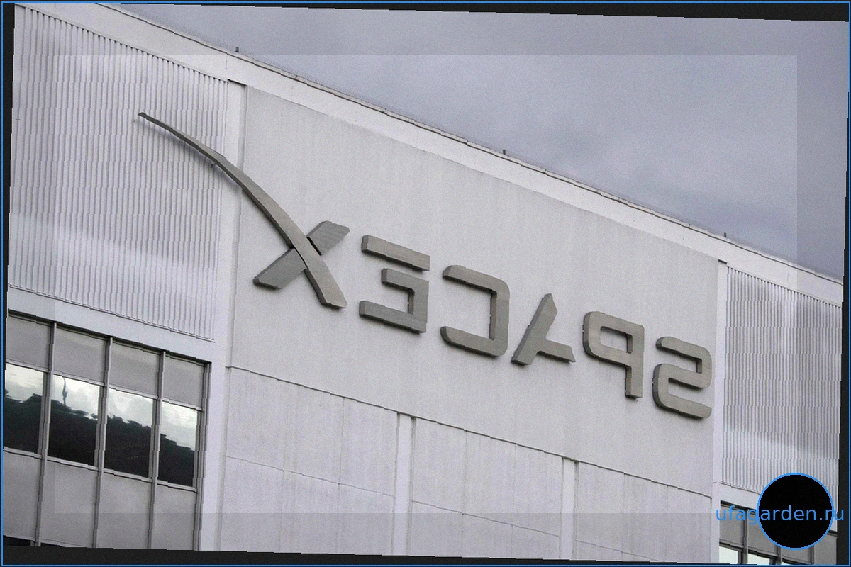 SpaceX: Илон Маск обеспечивает свою несменяемость на фоне стремительного роста компании