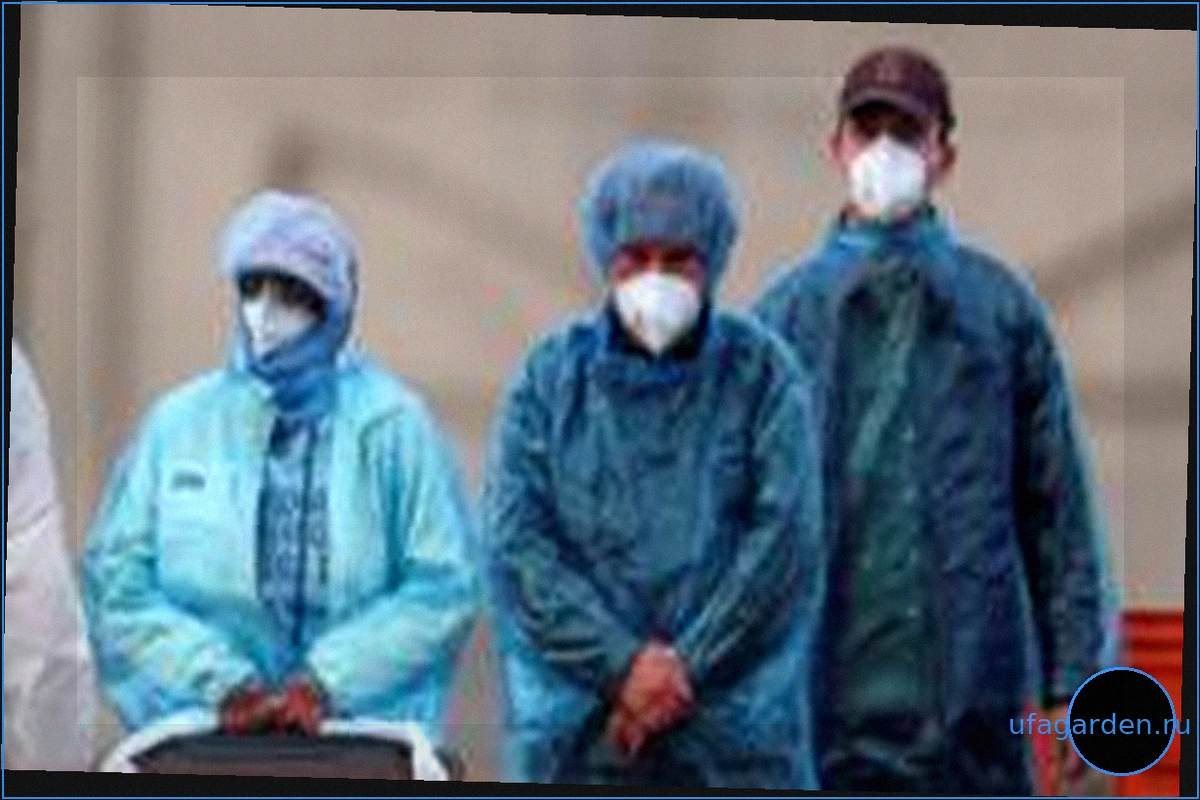 Hantavirus Confirmed in Returning Nationals