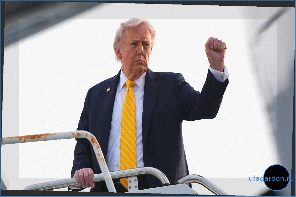 Трамп намерен вывести из Германии значительно больше 5000 американских солдат