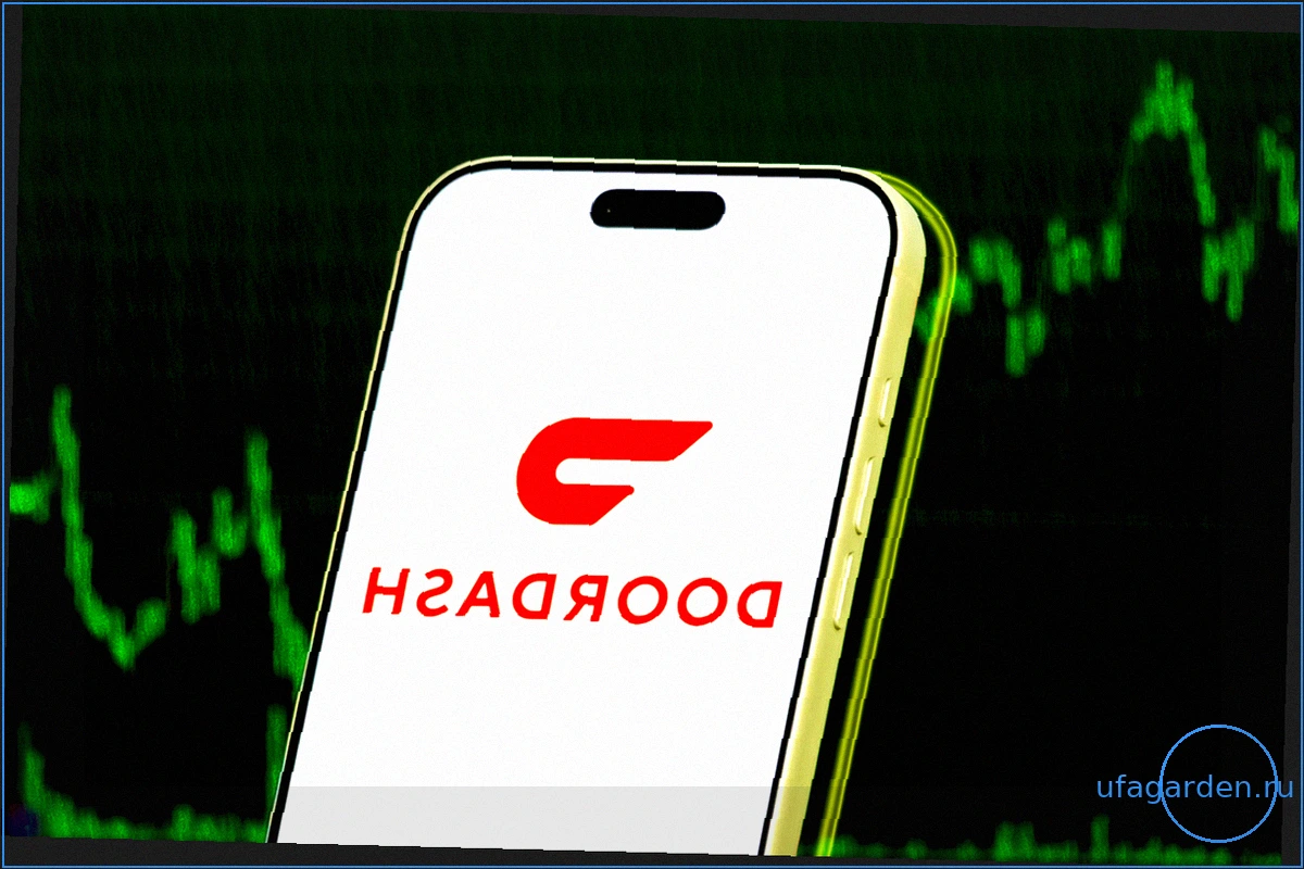 DoorDash предлагает роль за $200 000 для знатоков интернет-культуры