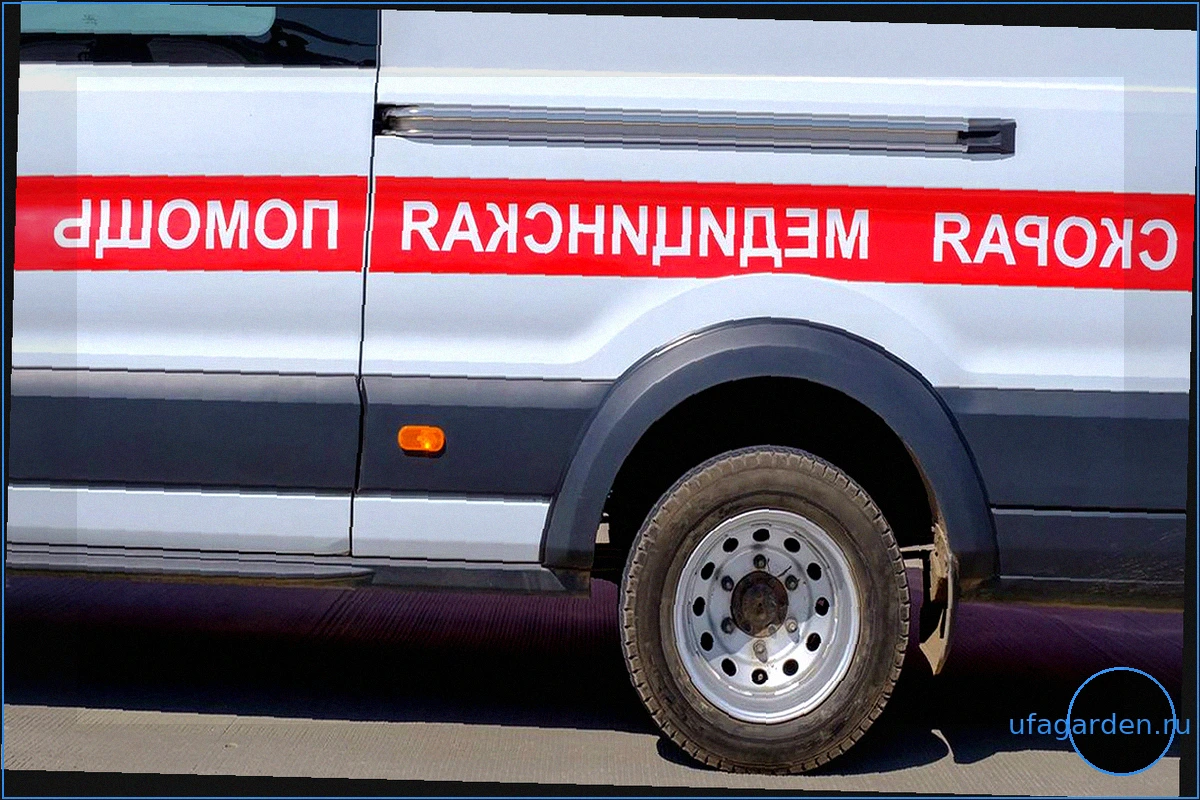 Удар по колледжу в Старобельске: число жертв возросло до 21