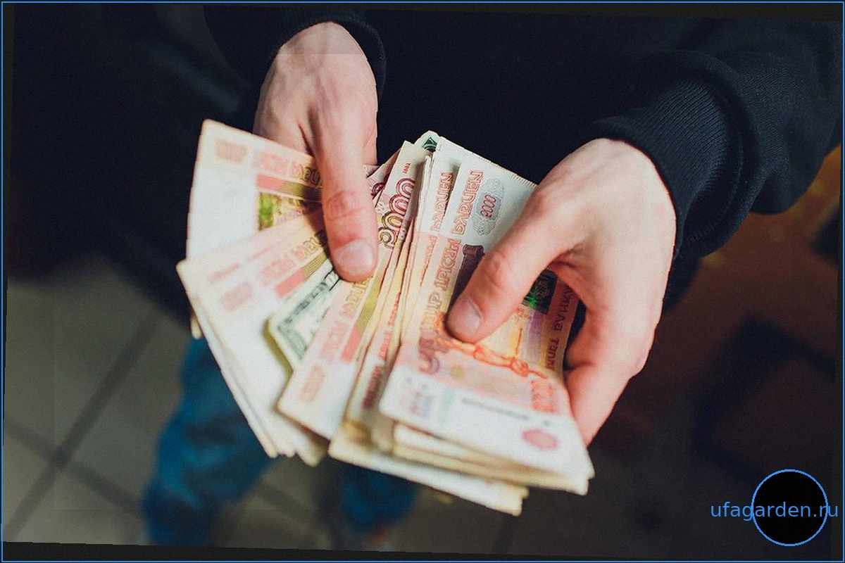 Скрытые права: о каких преференциях для предпенсионеров и пенсионеров вы не знали