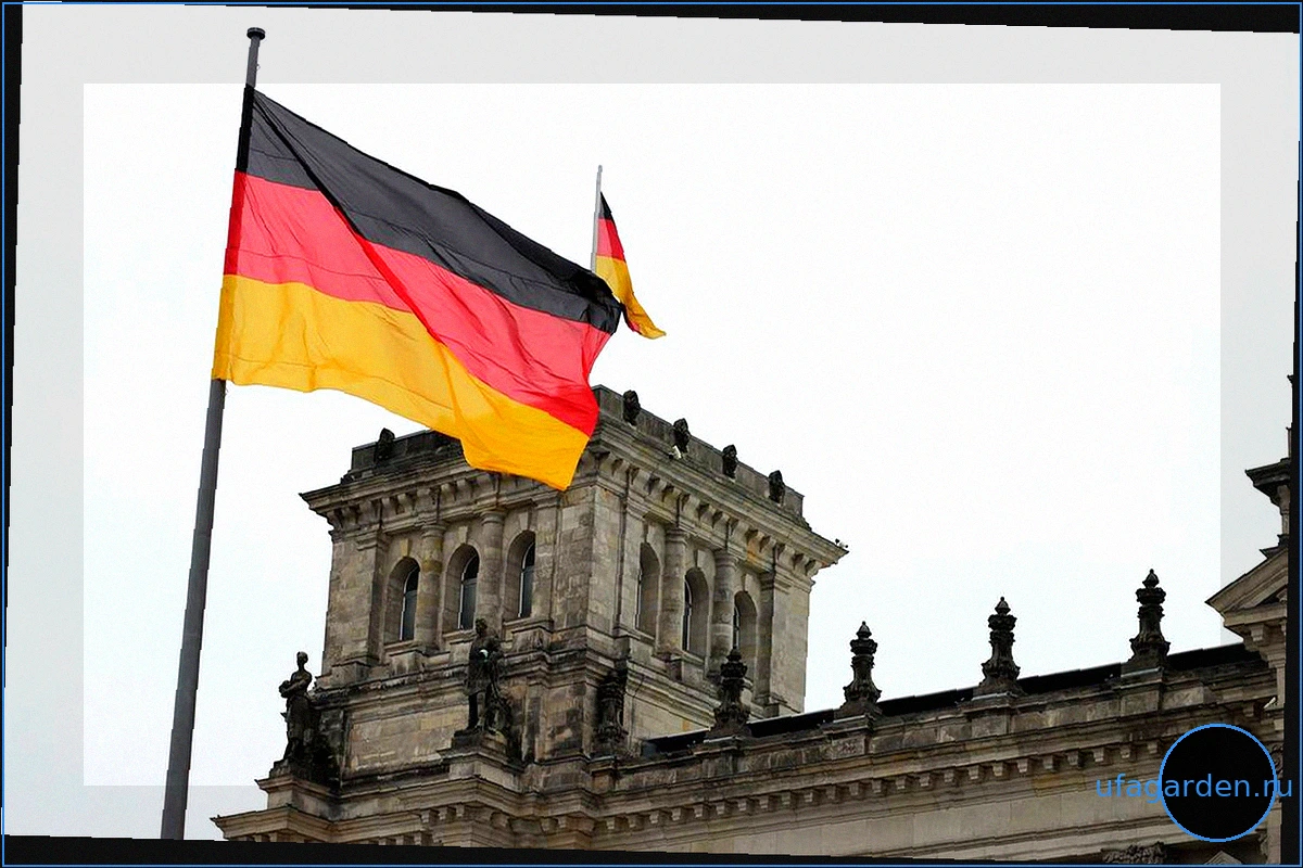 Bild: Германия перебрасывает около пяти тысяч солдат к границе с Белоруссией