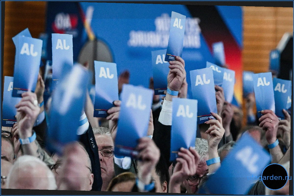 Сотрудники AfD замешаны в троллинге: Травля однопартийцев за счет государства?