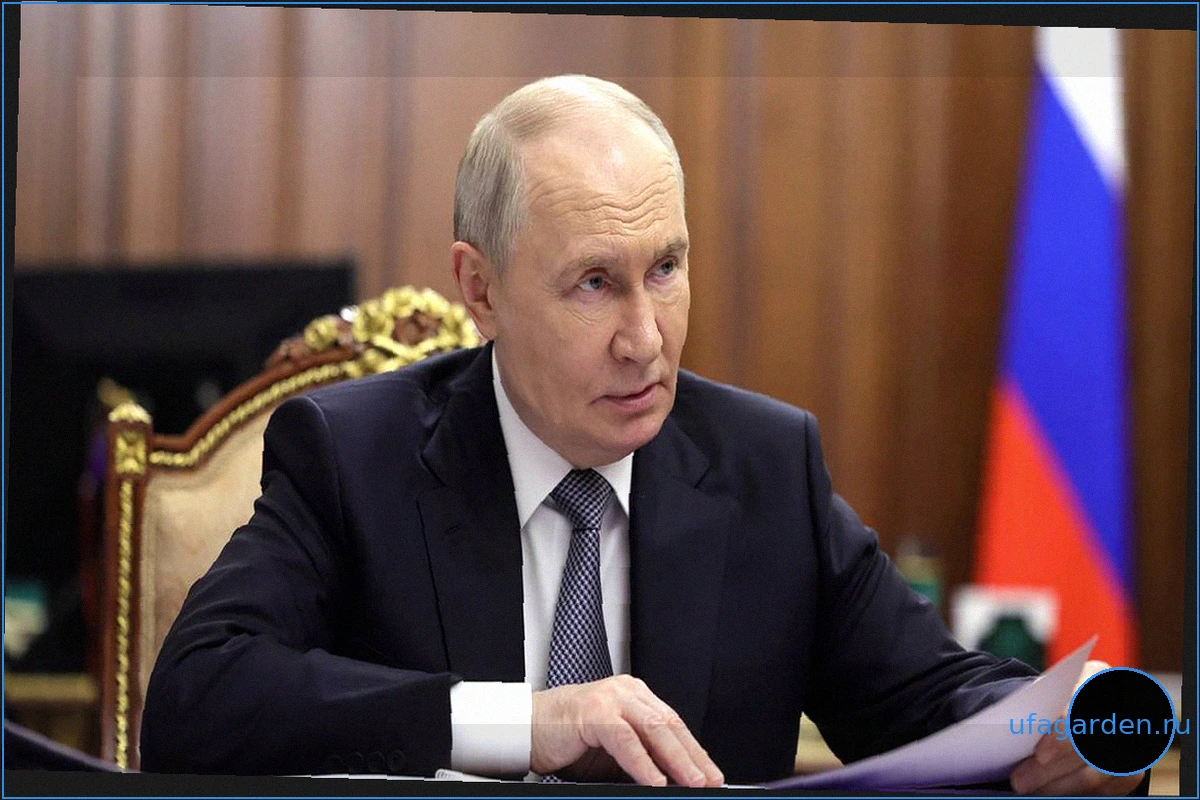 Владимир Путин: напутствия и поздравления выпускникам школ