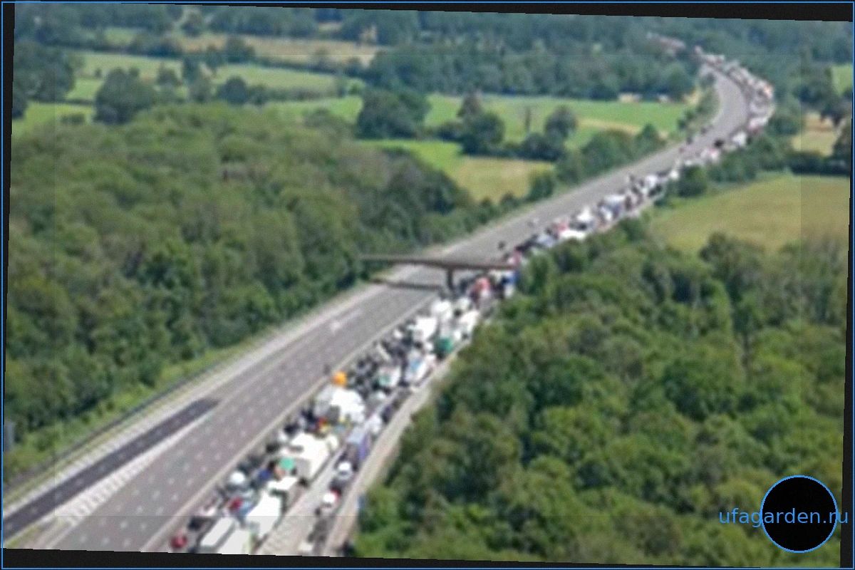 Люди, застрявшие на трассе M25 в жару, доставлены в больницу