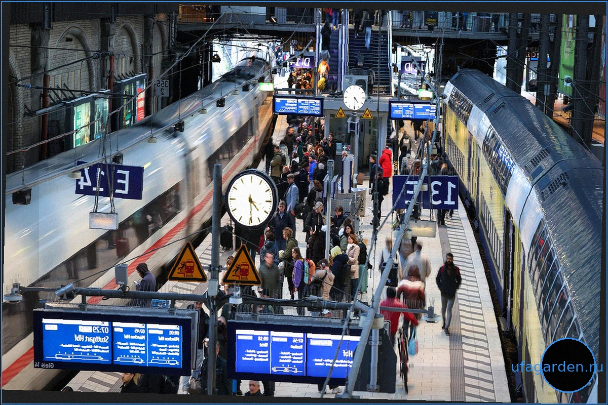 Deutschlandticket: три года спустя – каково его будущее?