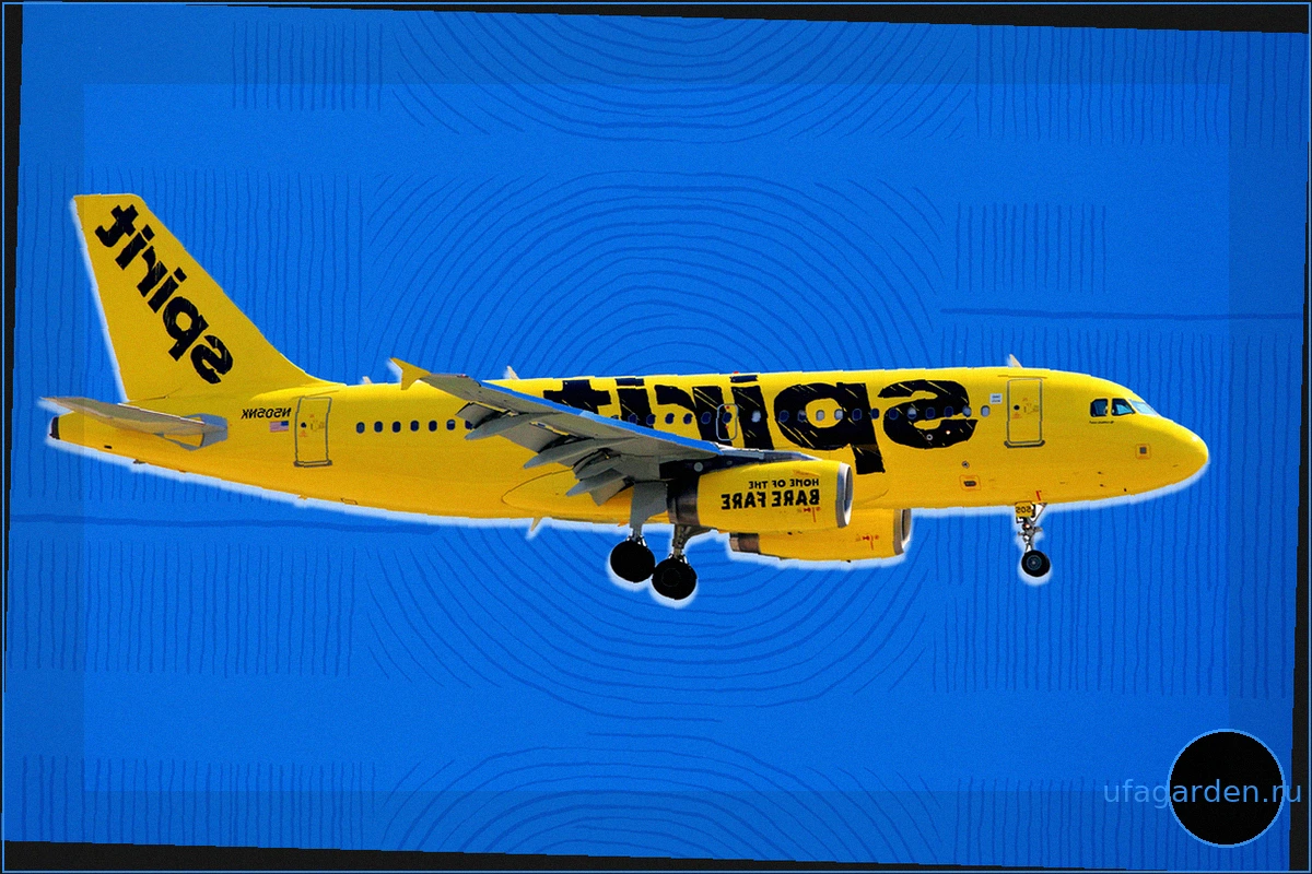 Spirit Airlines: От «Dollar General от мира авиации» до банкротства