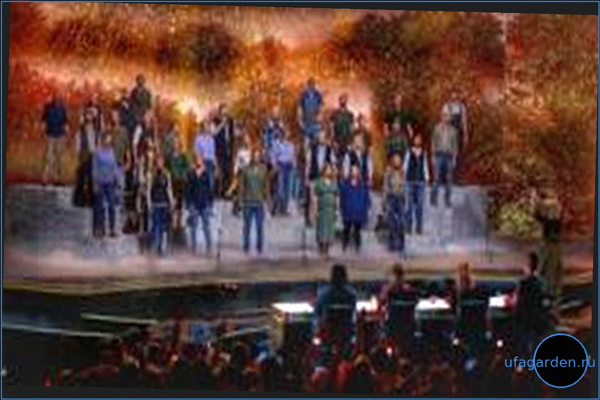 Хор фермеров (связанный с Джереми Кларксоном) победил на Britain's Got Talent