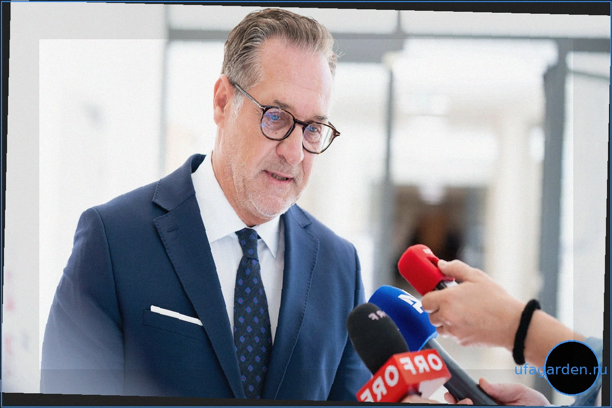 Бывший глава FPÖ: Очередное оправдание для Штрахе