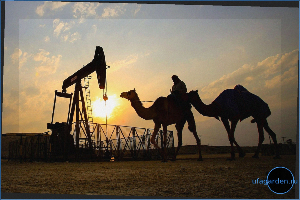Обзор рынка: Цены на нефть значительно снизились – надолго ли?