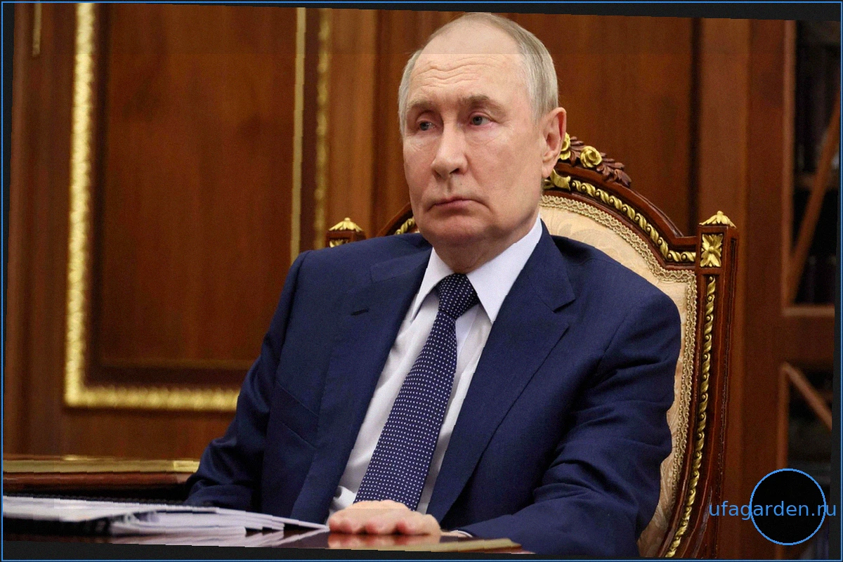 Россия объявила перемирие на 8 и 9 мая: реакция Украины