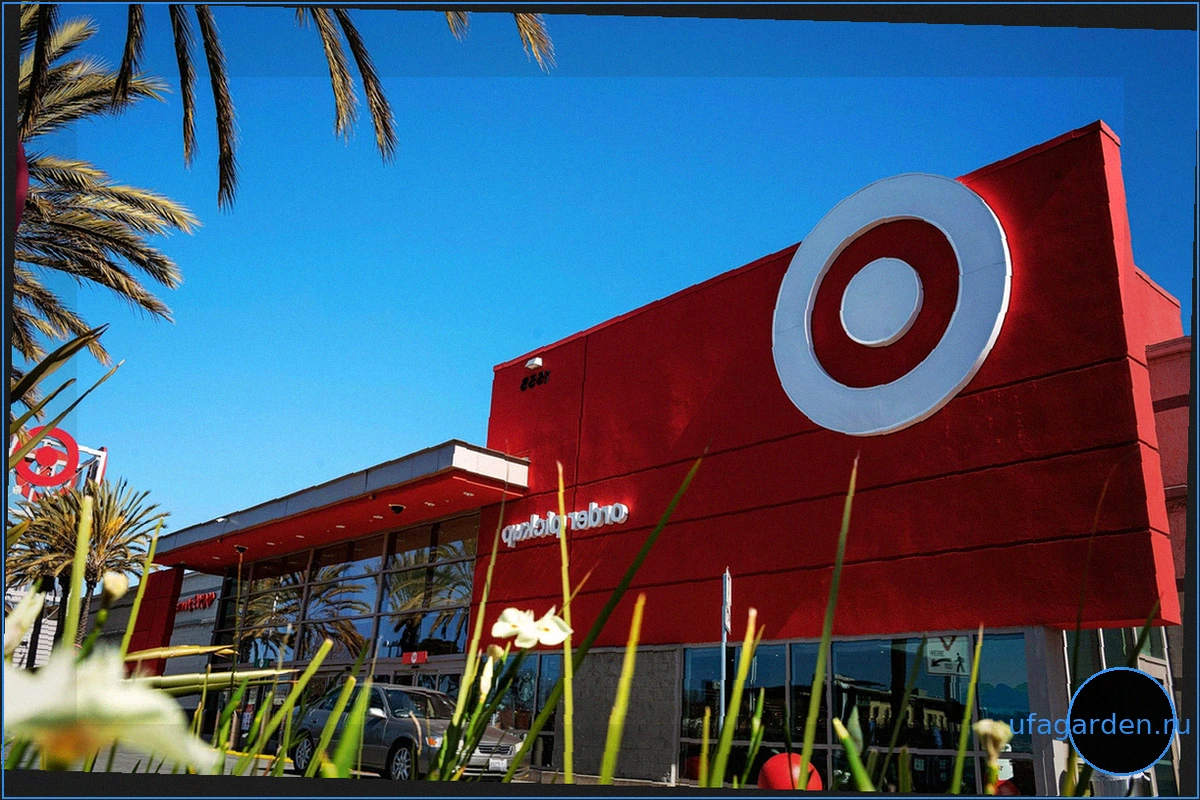 Стратегия Target: Успех или провал решит 2-процентная разница