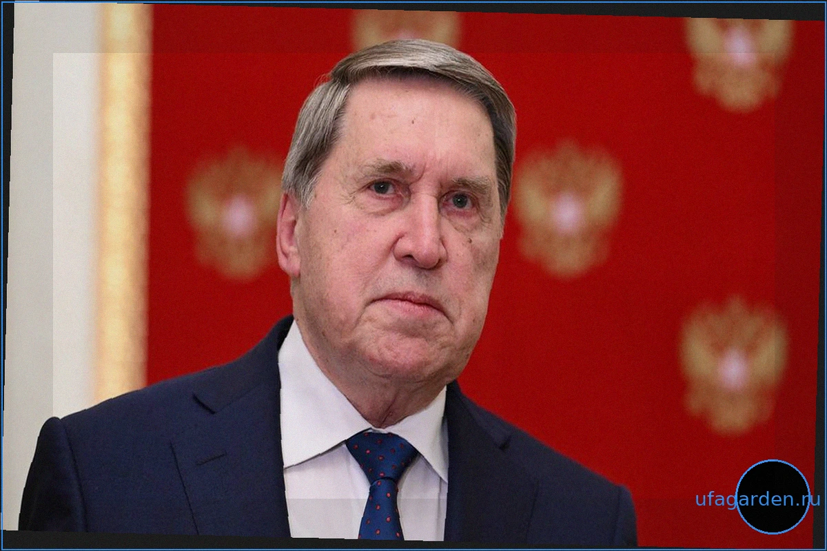 Ушакова: Россия ждет не выполнения договоренностей Анкориджа, а победы