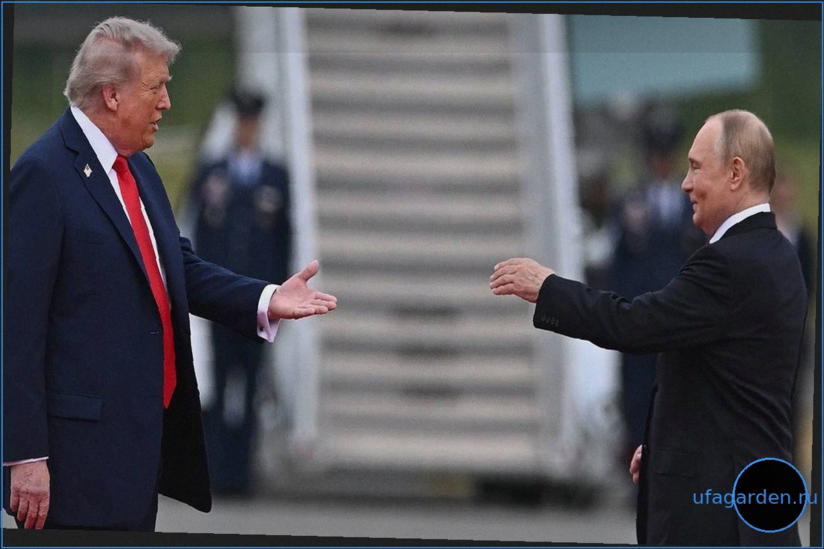 Телефонный разговор Путина и Трампа в День независимости США