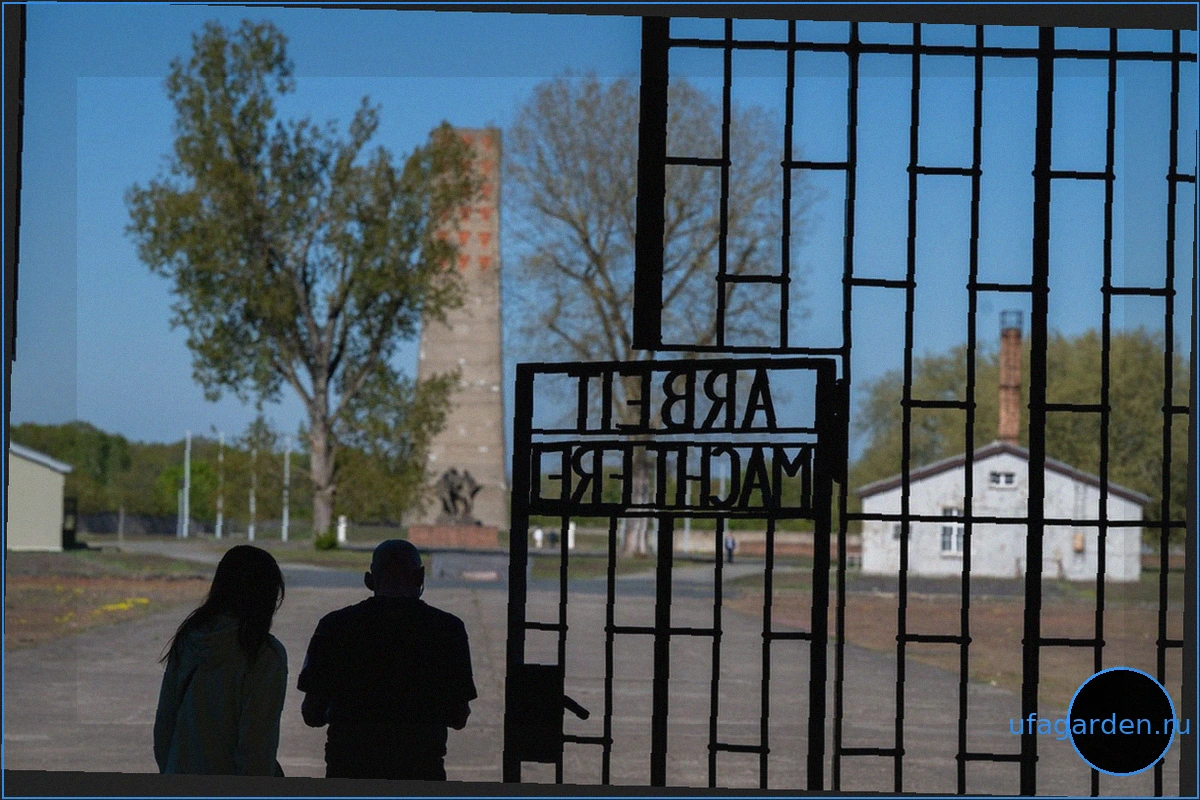 Кибератака затронула мемориальные комплексы Бранденбурга: работа в аварийном режиме