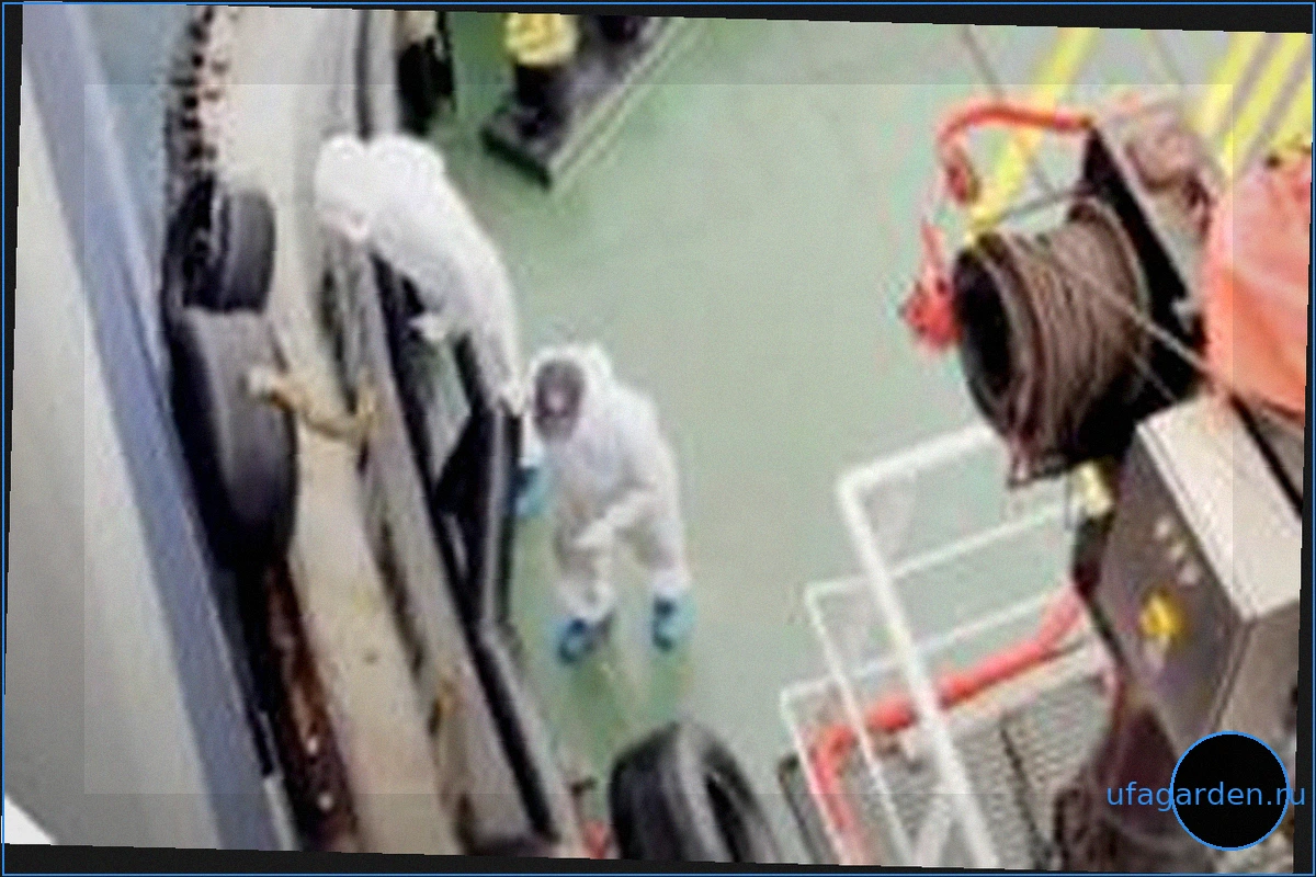 Круизное судно MV Hondius с вспышкой хантавируса направляется на Канарские острова