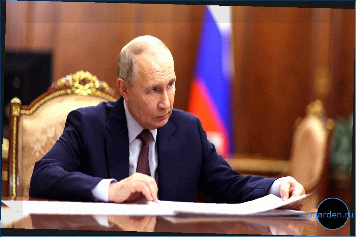 Указ Путина: Отсрочка от призыва для студентов вузов МЧС