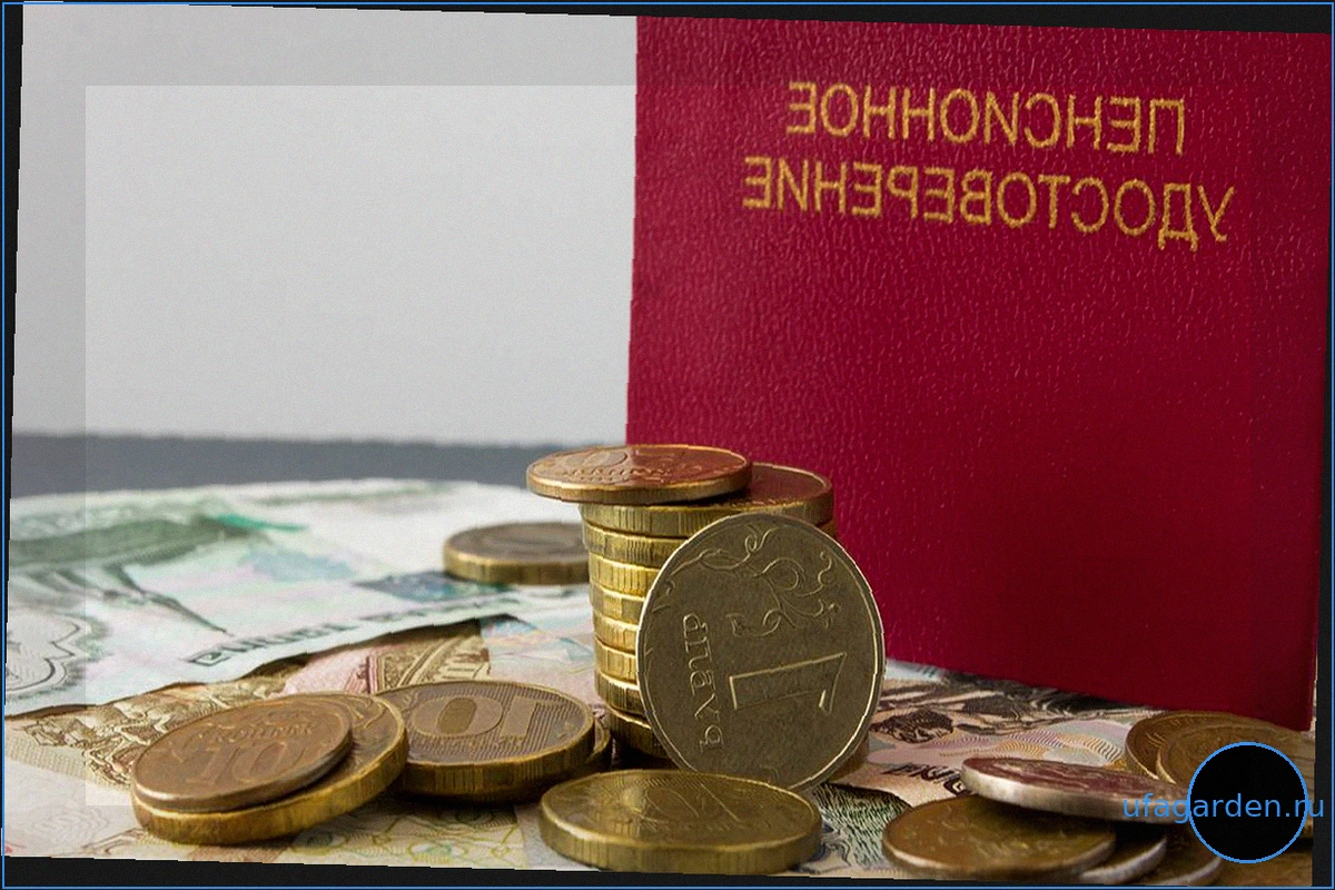 Наследование пенсии: Какие выплаты могут получить родственники умершего?