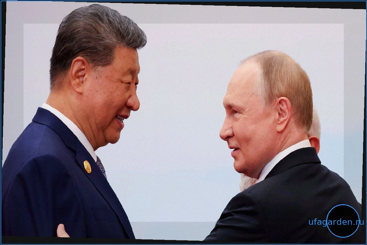 Визит к Си в Китае: Путин вслед за Трампом