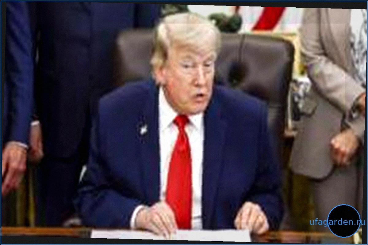 Трамп сообщил о близком урегулировании иранского конфликта после отмены ударов
