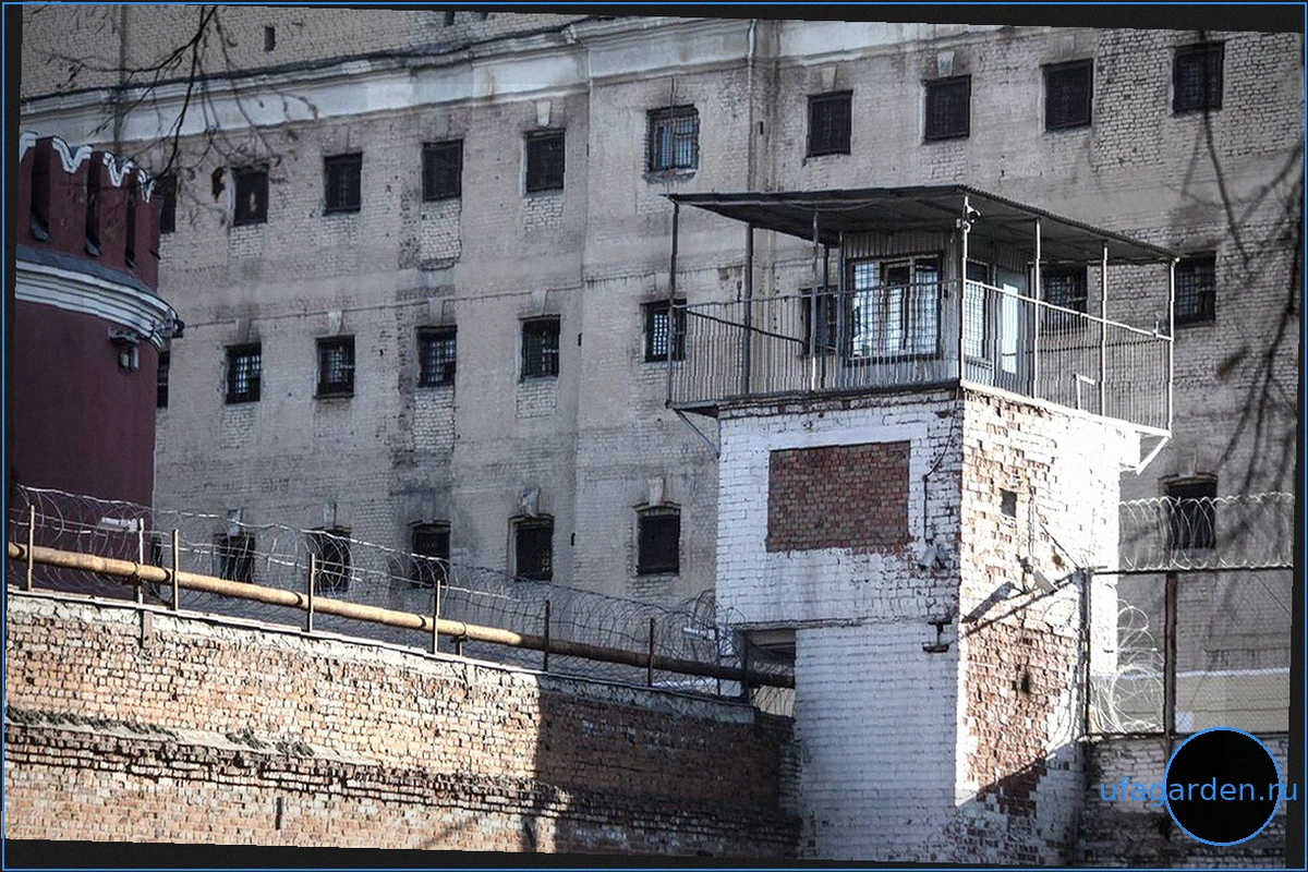 Водителя, сбившего мужчину и его сына в Клину, арестовали