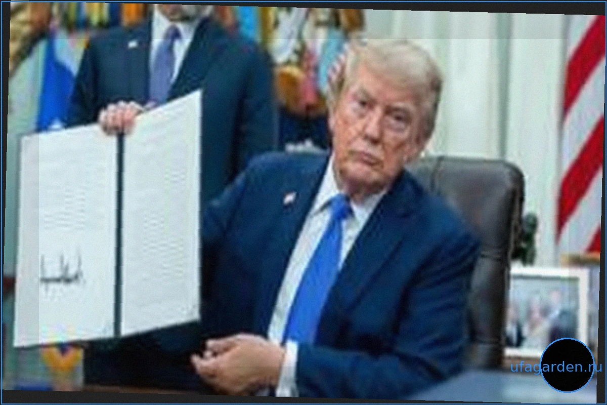 Новые указы Трампа направлены на ограничение гражданства по праву рождения