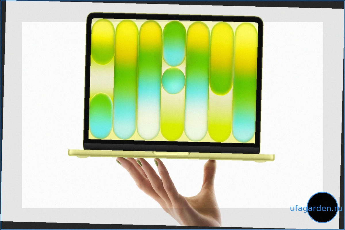 Ноутбуки Apple: Air или Neo? Выбираем идеальный MacBook для ваших задач