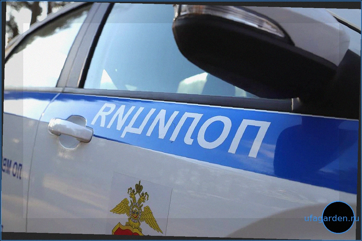 Уголовное дело после смертельного ДТП с пятью грузовиками под Электросталью