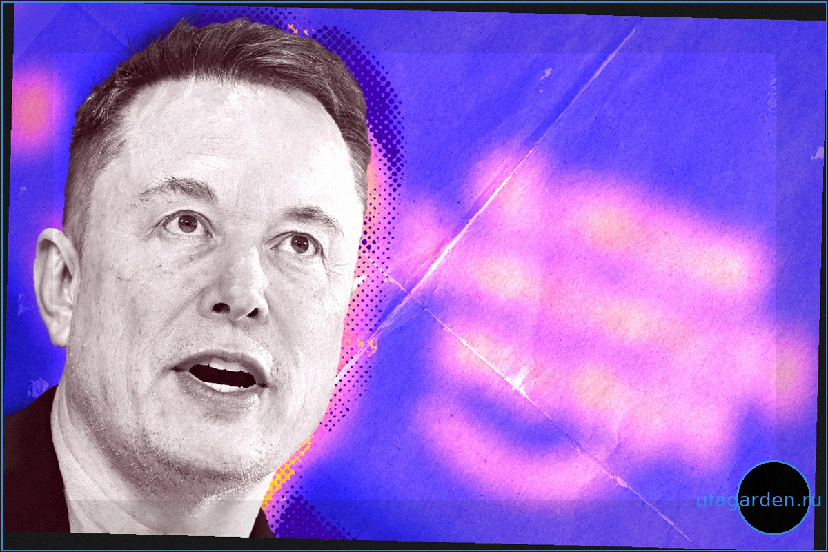 Who Will Be the Next Trillionaire After Musk? Here’s What the Prediction Markets Say.