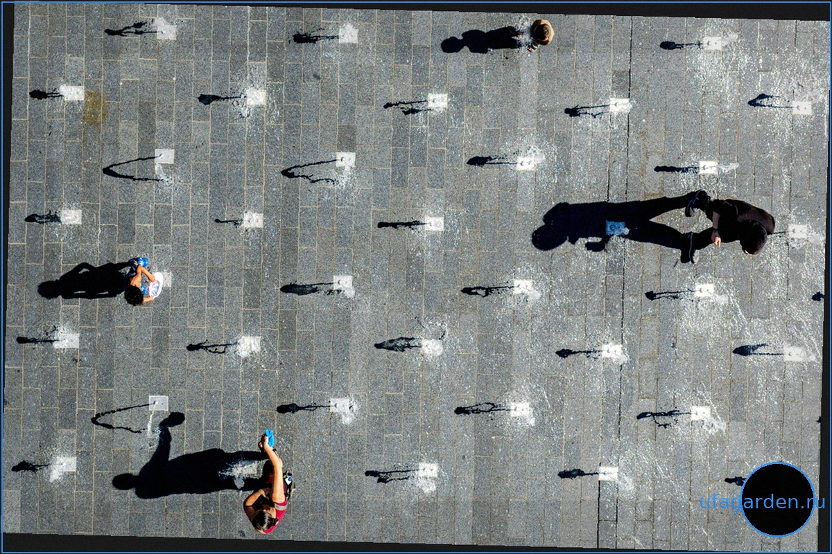 Hitze-Liveblog: 40,9 Grad Celsius – neuer Temperaturhöchswert in Deutschland gemessen