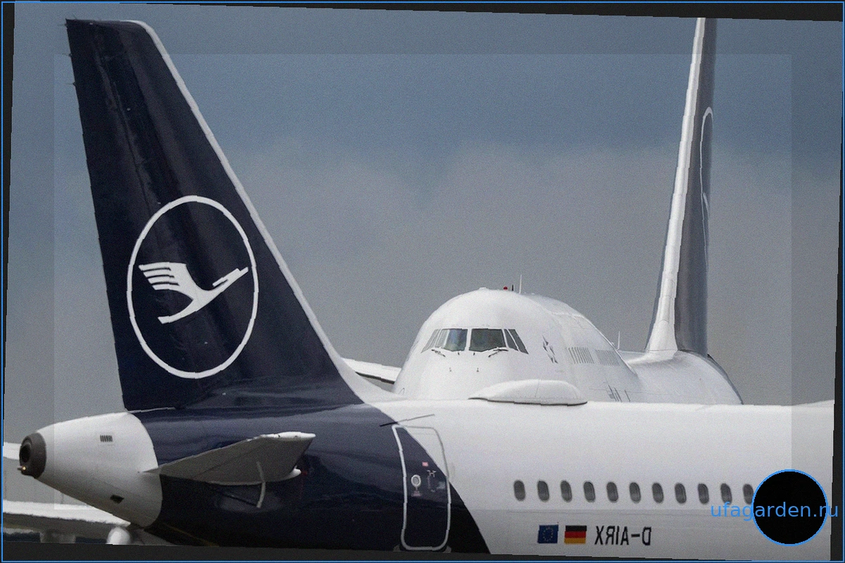 Общее собрание Lufthansa: Вызовы и новая стратегия