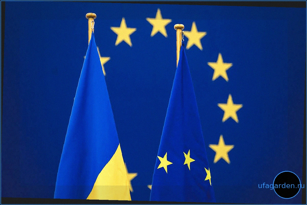 Условия прекращения конфликта на Украине: Заявления Великобритании, Франции и Германии