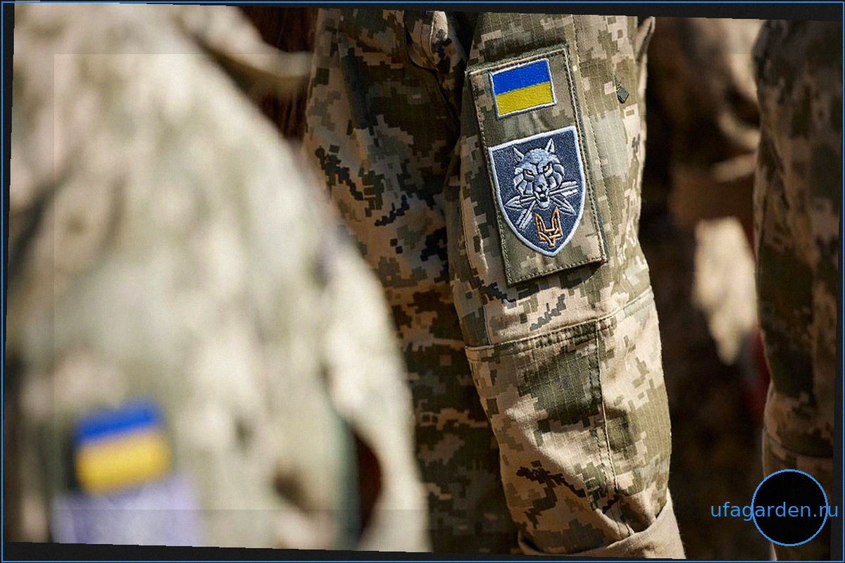 Украина принуждает военнослужащих ВСУ к онлайн-казино для пополнения 'черной кассы'
